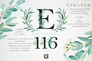 Eucalyptus Watercolor Greenery, a Healthcare Illustration by LABFcreations (Thumbnail 1 of 11)