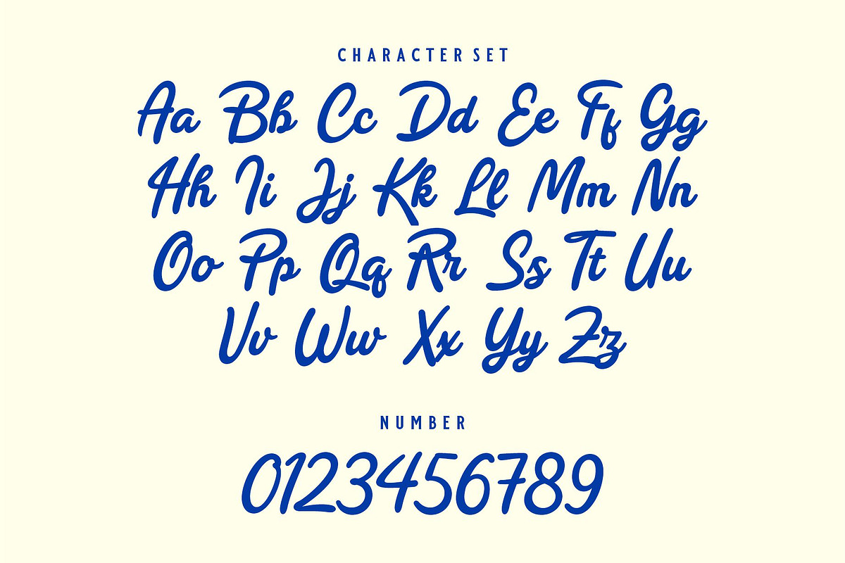 REYAL BEACH | BOLD SCRIPT, a Script Font by Havinkpen (Photo 11 of 14)