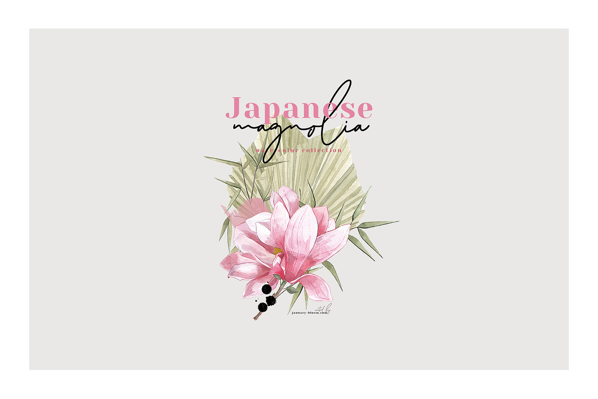 Magnolia & Cranes | Tropical Japan, an Illustration by January Bloom (Photo 4 of 17)