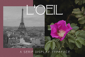 L'OEIL | Minimal Serif Font