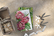 Watercolor protea flower set, an Illustration by Artmanata (Thumbnail 13 of 18)