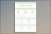Beautiful CV Template, a Resume Template by introDuice - CV / Resumes (Thumbnail 6 of 7)