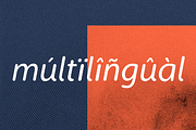 Antropil Italic font [30% OFF], a Sans Serif Font by Alvotype (Thumbnail 3 of 3)