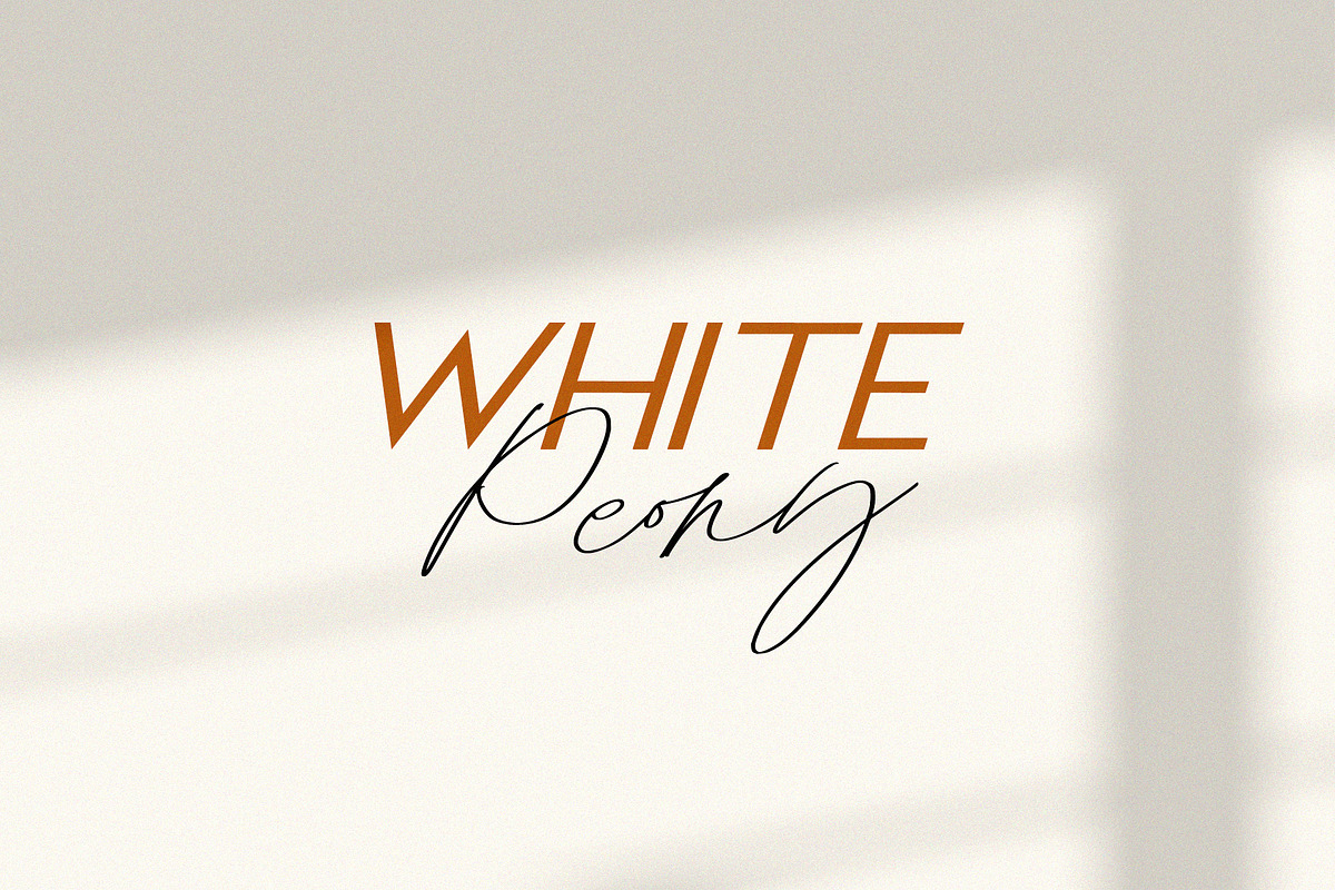 Monologues Font Duo, a Script Font by Calamar Studio (Photo 9 of 20)