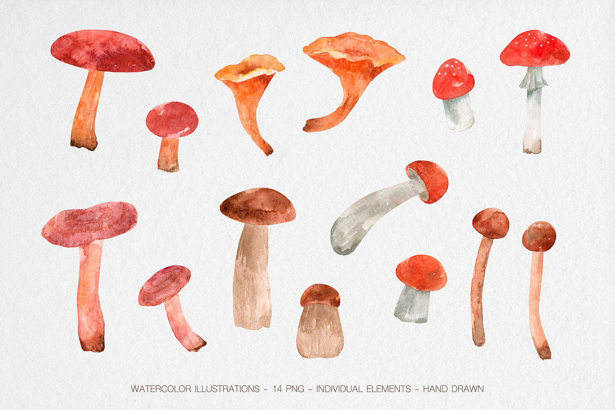 Watercolor Mushrooms Clipart, an Illustration by MilanaDesignShop (Photo 2 of 4)