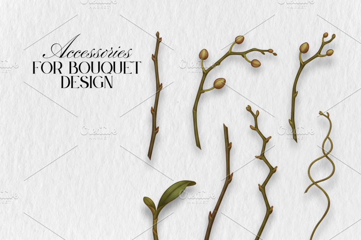 Slipper Orchid Botanical Clipart PNG, a Decorative Illustration by Floraphoria (Photo 6 of 12)