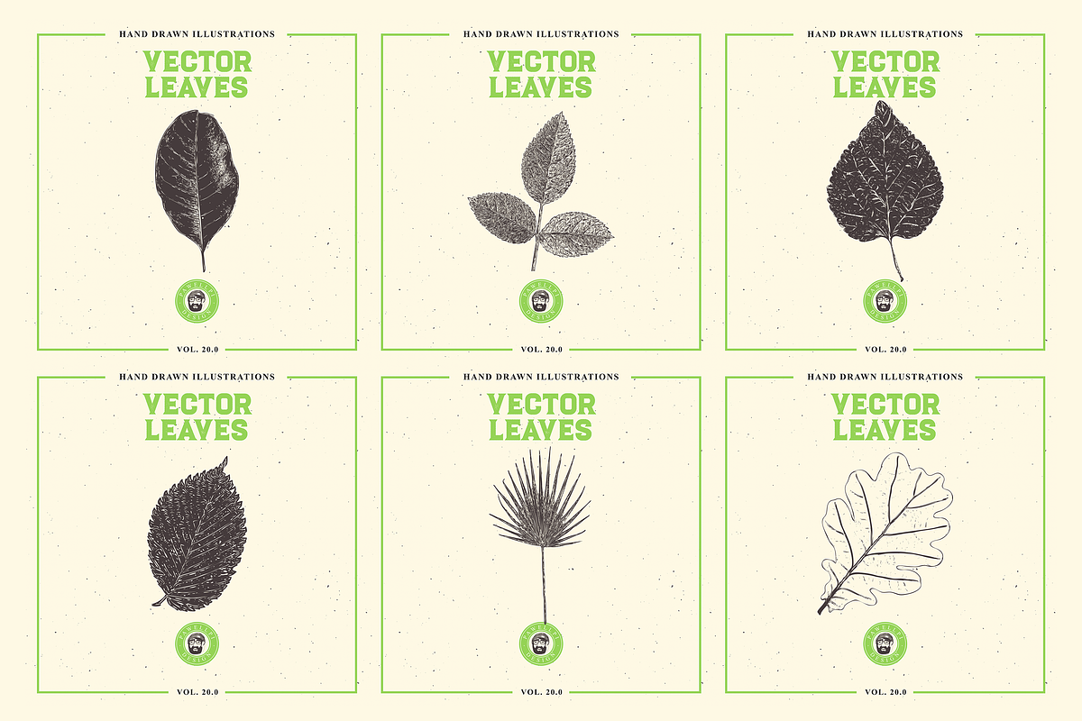VECTOR LEAVES HAND DRAWN BUNDLE v20, a Decorative Illustration by pawellpi (Photo 2 of 7)