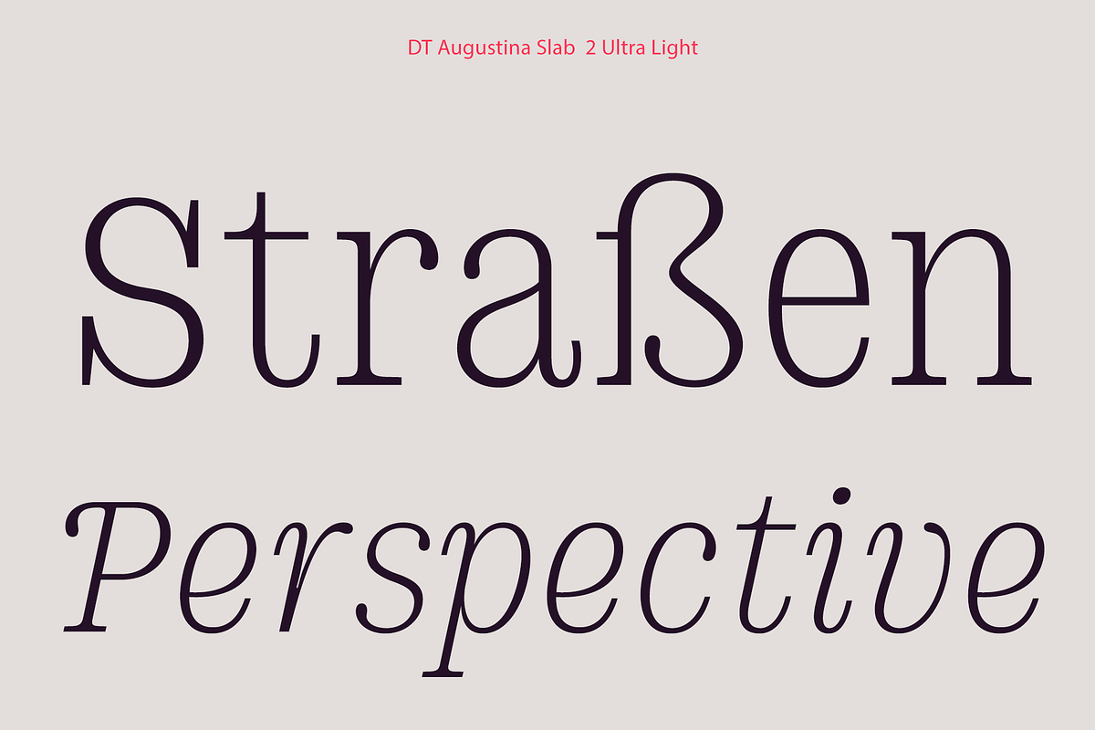 DT Augustina Slab 2 Subfamily, a Slab Serif Font by Deveze Type Foundry (Photo 3 of 30)