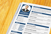 Professional Resume / CV Template, a Resume Template by designvillage (Thumbnail 11 of 13)