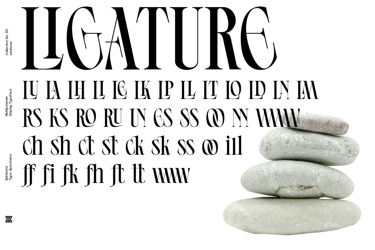 Ephidona, a Serif Font by Bagerich Type Foundry (Photo 3 of 16)