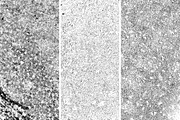 GSTC - Stone bench textures, a Texture Graphic by The Shop (Thumbnail 35 of 80)