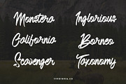 Andals Script Typeface, a Script Font by edukka (Thumbnail 4 of 7)