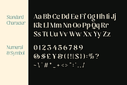Biger Mistake - Playful Family, a Serif Font by Holyline Design (Thumbnail 10 of 16)
