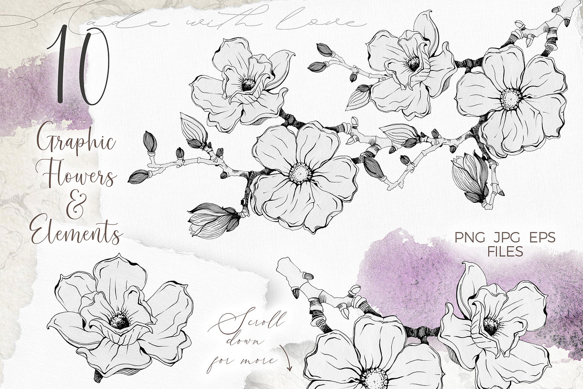 Pink Magnolia Watercolor Collection, a Decorative Illustration by AnitaPol (Photo 5 of 14)