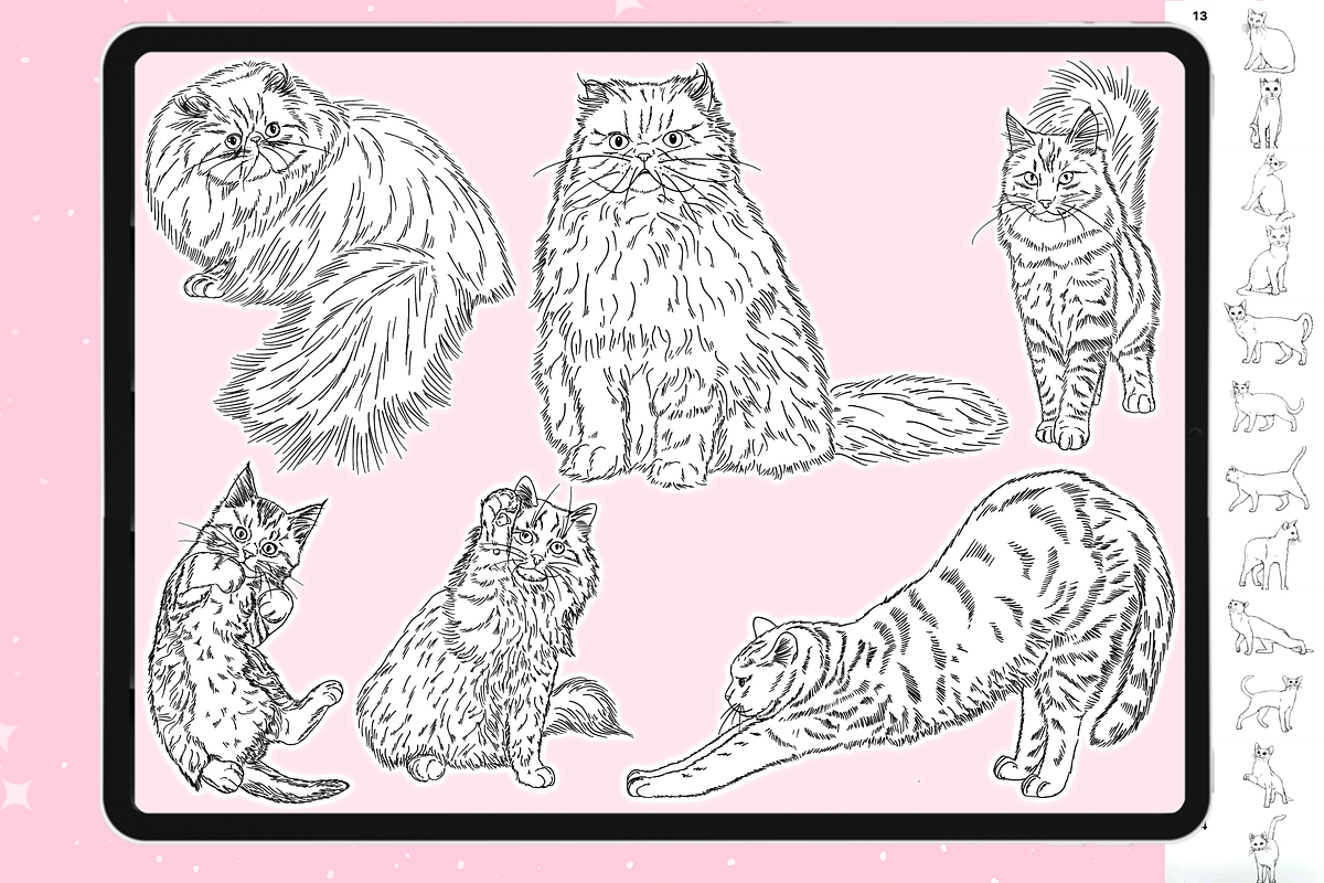 Procreate Cat animal brushes, a Brush Add-On by Revabrush
