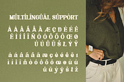 Flagfies - Modern Retro Font, a Serif Font by Dhabee (Thumbnail 5 of 15)