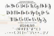 Birthday Yesterday, a Handwritten Font by FreshTypeINK (Thumbnail 3 of 8)