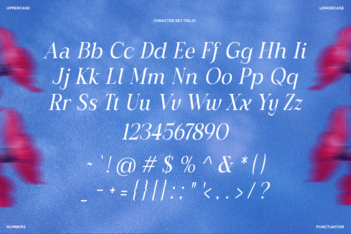 Celtasy Solaria - Family Serif Font, a Serif Font by Say Studio (Photo 10 of 10)