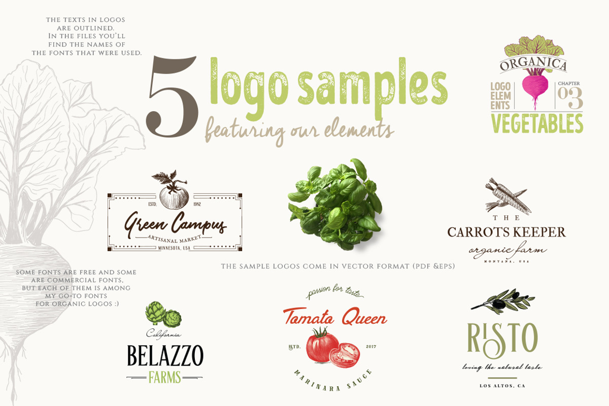 4 IN 1 ORGANIC LOGO ELEMENTS, a Food Illustration by Friendly Label (Photo 12 of 13)