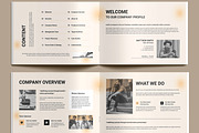 Professional Company Profile, a Brochure Template by MightyDesign (Thumbnail 3 of 9)