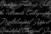 Volkanoski Script Pro | INTRO SALE, a Script Font by Alcode (Thumbnail 7 of 17)