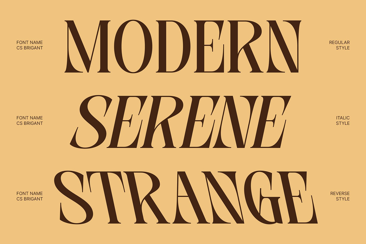 CS Brigant – Modern Serif Font, a Serif Font by Craft Supply Co. (Photo 2 of 8)