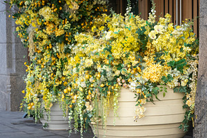 Vibrant Yellow Floral, a Wallpaper Photo by Imaginarium