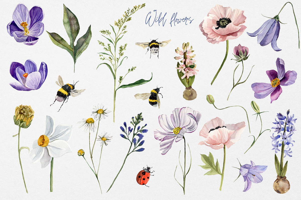 Spring wildflowers watercolor, a Decorative Illustration by Artcard Watercolor (Photo 2 of 12)