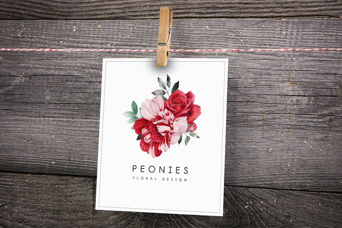DISCOUNT PEONIES & ROSES (Clipart), a Decorative Illustration by ollalya (Photo 5 of 8)