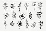 Hand Drawn Ink Botanical Elements, a Decorative Illustration by Irina Ostapenko (Thumbnail 4 of 10)