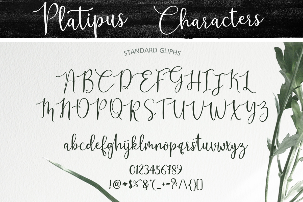 Platipus Script preview 5