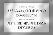 Rearles Harthone || Elegant Font Duo, a Serif Font by Idea Studio (Thumbnail 9 of 10)