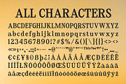 CS Delmar – Retro Font, a Serif Font by Craft Supply Co. (Thumbnail 8 of 8)