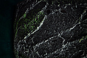 Macro Abstract Photo Bundle, an Abstract Photo by Noires (Thumbnail 7 of 8)