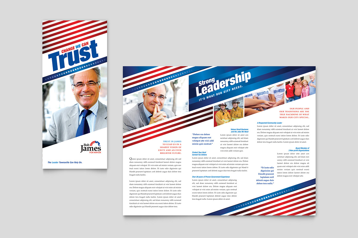 Political Campaign Brochure Template, a Brochure Template by StockLayouts (Photo 4 of 4)