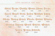 Shine Brighter Font Duo, a Script Font by Orenari (Thumbnail 11 of 14)