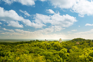 Tikal Guatemala Mayan Ruins, an Architecture Photo by THP Creative