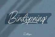 Birdspring Signature, a Script Font by Rillatype (Thumbnail 1 of 13)