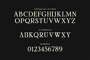 Scipio Typeface, a Serif Font by Tugcu Design Co. (Thumbnail 2 of 3)