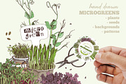 Natural food BUNDLE, a Food Illustration by handsketched (Thumbnail 13 of 26)