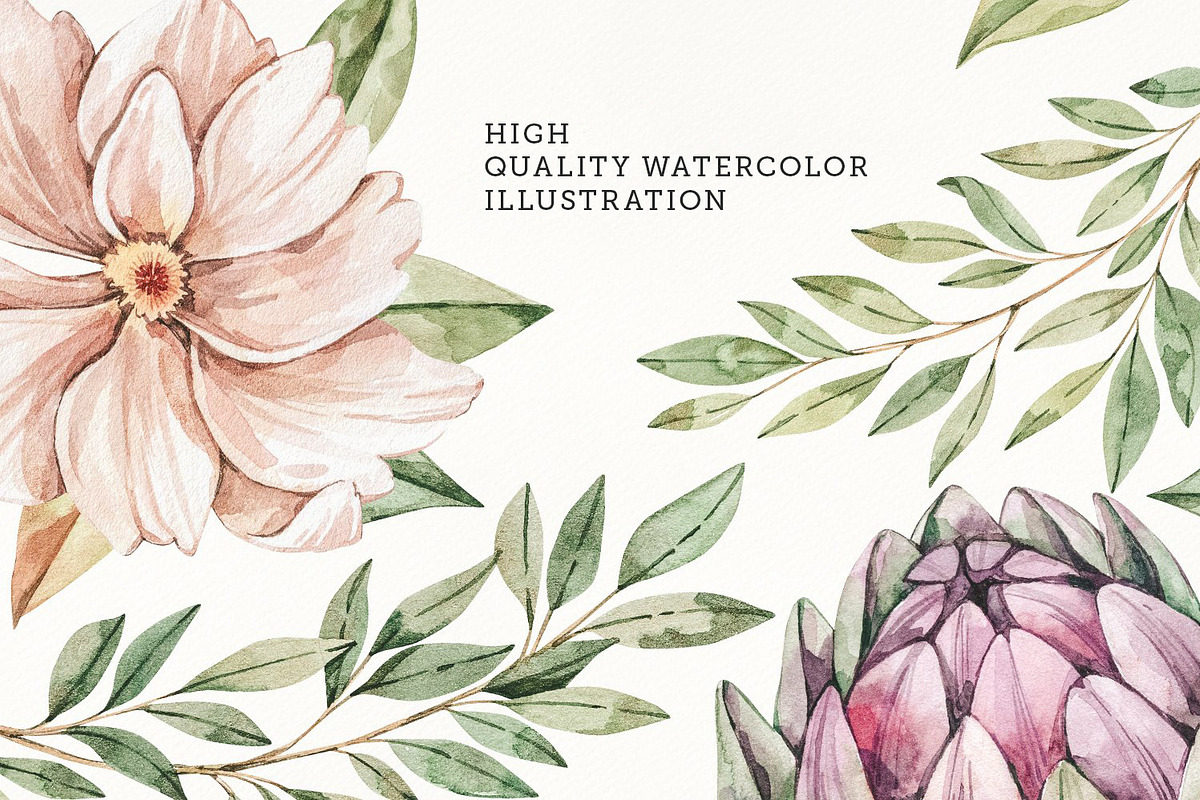Field autumn flowers. Watercolour, an Illustration by Kate Macate (Photo 7 of 8)