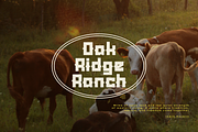 Lanarei | Western Slab Serif, a Slab Serif Font by gracetype_studio (Thumbnail 4 of 12)