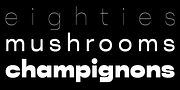 WT Null, a Sans Serif Font by Wraith Types (Thumbnail 5 of 7)