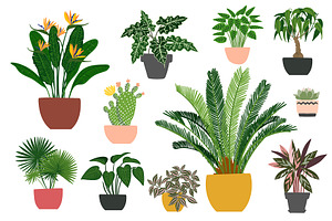 Tropical Plants Vector.