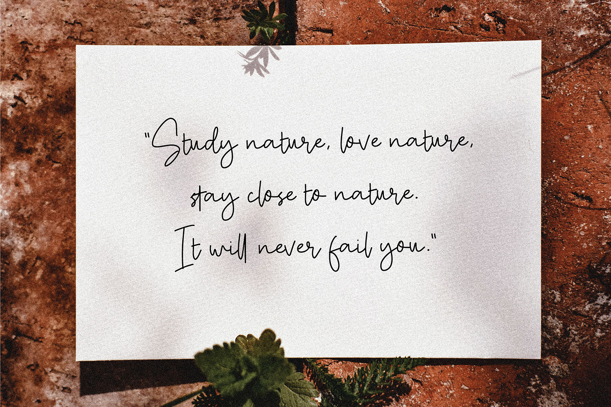Maurichia, a Script Font by Pustudio (Photo 7 of 9)