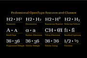 Bodrum Slab, a Slab Serif Font by BULENT YUKSEL (Thumbnail 6 of 12)