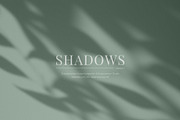 30 Shadow Overlays vol. 03 Plants, a Background Graphic by DESIGN BY nube (Thumbnail 1 of 10)