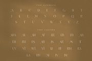 Navara Elegant Ligature Serif Font, a Serif Font by Graphicxell (Thumbnail 8 of 8)