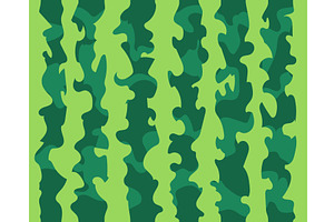 Watermelon skin pattern. Water melon, a Food Illustration by Stock-Smart-Start