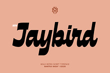 MN Jaybird - Bold Retro Script Font